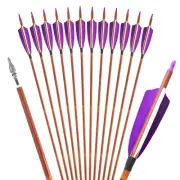 12X Archery Carbon Arrows 30" SP500 Feathers Recurve Bow Longbow Hunting Target