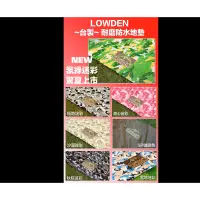 在飛比找蝦皮購物優惠-LOWDEN訂製coleman CM-36437/CM-38