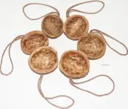 Walnut Shell Halves with Strings Natural DIY Ornaments Set, Crafting, Walnut Art