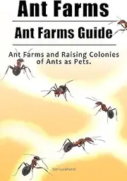 Ant Farms. Ant Farms Guide. Ant Farms and Raising Colonies of Ants as Pets.