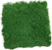 Toyvian Artificial Moss Like Simulation Turf for Micro Scene Layout Decorative Flocking Pad for Garden Fairy Gardens and Terrariums
