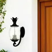 Matte Black Pineapple Wall Light