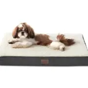 NEW Small Dog Bed Therapeutic Egg Shell Padding With Removable Washable Cover