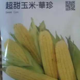 四季園 超甜玉米 華珍 【蔬果種子】 農友牌 約12公克/包