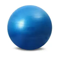 在飛比找蝦皮購物優惠-exercise gym yoga swiss ball s