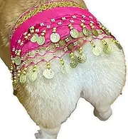 CHOWONE Dogs Belly Dancer Skirt, Waist Chain Hip Curtain Clothes for Corgi Dog Belly Dance Style with Sequin, Puppy Hip Shaking Dance Clothes Decoration Pet Costumes