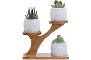 3pcs Owl Succulent Pots Bamboo Stand Holder, White Decorative Ceramic Planter Plant Pot Home Office Desk Garden Mini Cactus Pot Indoor Decor