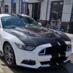 【M.GARAGE】FORD 野馬 MUSTANG MK6 透明 碳纖維 開孔 引擎蓋 改裝 套件