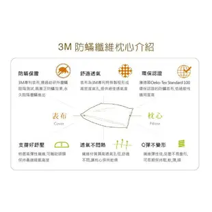 【mt99】3M 健康 防螨 枕心 限量枕 防螨枕 枕頭 枕