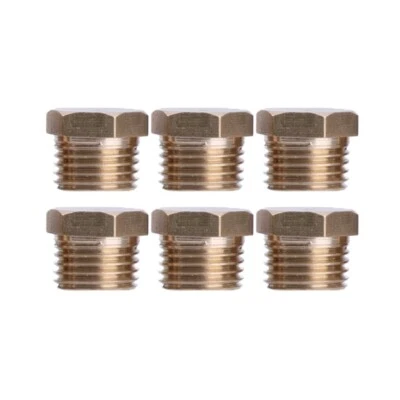 6pcs Pipe Connectors G1/4 Brass Plugs Pipe Inserts Pipe Plugs with Hexagons set