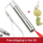 USB Rechargeable Red Laser Pointer Cat Toy plus a Premium Adjustable Swing Toy