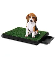 Qttie Large Dog Pet Potty Training Pee Pad Mat Toilet Puppy Tray Indoor