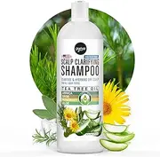 Natural Dandruff Shampoo (470ml) with Potent Tea Tree, Vitamin & More. Combats itchy, Flaky & Dry Scalp. Ideal for Psoriasis & Seborrheic Dermatitis. Sulphate Free. Moisturising & Gentle for Daily Use.