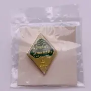Baptist Senior Adults Psalm 1:3 Lapel Pin - Very Nice - New In Package Old Stock