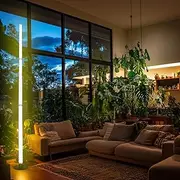 Full Spectrum LED Grow Light – 1.2m Tall Standing Lamp for Indoor Plants & Garden, 3 Light Modes with UV Blue & Deep Red, Foot Switch for Easy Control