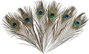 2021 Peacock Feather Tail Party Feather Tool Living Decoration H0t4 Bed Wedding Decor Room Room Family