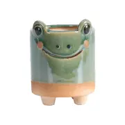 Catzon Ceramic Decor Succulent Flower Pot for Office Home School Decorated-Frog