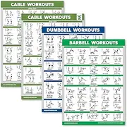 4 Pack - Cable Machine Workout Posters Volume 1 & 2 + Dumbbell Exercises + Barbell Exercises (LAMINATED, 18" x 24")