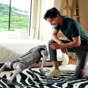 Unitree Go2-Pro Bionic Quadruped Robot Dog AI Robot Dog with Remote Control @
