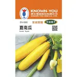 【台灣出貨 電子發票】夏南瓜 黃 種子 10粒 菜籽 果菜 水耕 櫛瓜 農友 空中花園藝世界 特選種子 SV-085