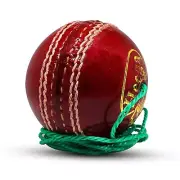 Cricket Practice Hanging Cricket Ball Knocking Ball Pack of 1 NAU