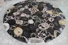 Black Petrified Agate Stone Round Coffee Table Top, Center Table Top Home Decor