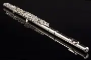Pearl Flute 695 Dolce Open Hole_In-Line_B-Foot_C# Trill_D# Roller 2-Day | Dealer