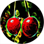 Slipmat for Phillips or any 12" DJ Turntable Record Player ARTISTIC CHERRIES New