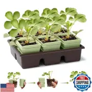 Green Bazzar Side-Open Seed Starter Tray 8-Pack, 48 Cells Modular Design with