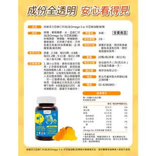 【純維】活力亞麻仁籽油(含Omega-3 α-次亞麻油酸)軟糖 -40顆/瓶+20顆/瓶