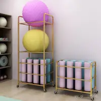 在飛比找蝦皮商城精選優惠-全網最低價 免運 瑜伽墊收納架瑜伽球架傢用波速球平衡球運動健