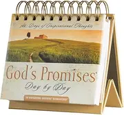DaySpring God's Promises Day By Day DayBrightener Perpetual Calendar