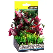 Aqua One Ecoscape Planter Lily - Small