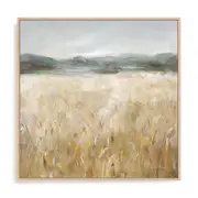 Artey | Field of Gold II - Framed Canvas - Natural Frame - 140 x 140cm