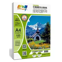 在飛比找蝦皮購物優惠-彩之舞 雙面可印 A4 優質特白雪面紙 HY-A101 10