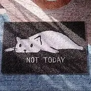Cat Front Door Mat Outdoor Mud Absorbent, Welcome Mat for Indoor & Outdoor, Doormat Entrance Mat Rug Outside Patio/Inside Entry Way, Anti-Slip Mats Rubber Backing 50×80cm (Black)