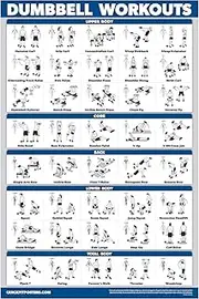 (46cm x 70cm, LAMINATED) - Palace Learning Dumbbell Workout Exercise Poster - Laminated - Free Weight Body Building Guide Home Gym Chart Double Sided - 46cm x 70cm