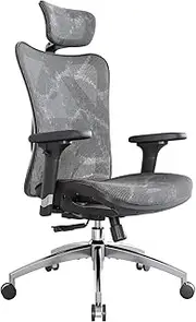 SIHOO Ergonomic Office Chair Mesh Desk Chair with Adjustable Lumbar Support 3D Armrests Breathable High Back Computer Chair (Grey)