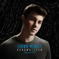 在飛比找博客來優惠-Shawn Mendes / Handwritten (Re