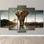 Elephant Wailing on Road 5 Piece Canvas Wall Art Abstract Print Home Decor
