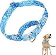 Martingale Dog Collar with Quick Release Dog Training Collars for Small Medium Large Dogs（Blue Triangle L）