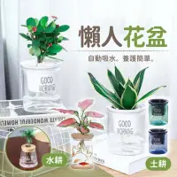 在飛比找momo購物網優惠-【178SHOP】懶人花盆 4入組 水耕/土耕(自動吸水花盆