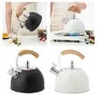 3L Traditional Kettle with Whistle Teapot for Electric/Induction/Gas Stove