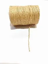 Natural Jute Twine | 2 ply Brown | Hemp Twine Sturdy String for Gift Wrapping Craft Plant Garden Christmas Handmade Arts Decoration Packing Home Decoration | 328 Ft (100M)
