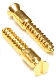 Genuine Floyd Rose Original Bridge Mounting Wood Screws - Gold