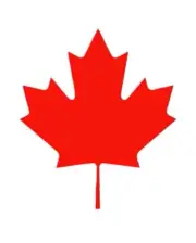 Simply Inked Red Maple Leaf Temporary Tattoo, Size: 2.5 in x 4 in