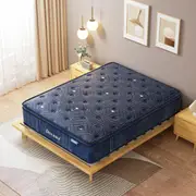 DreamZ Queen King Double Single Mattress Euro Top Pocket Spring Latex Foam 30cm