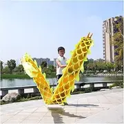 Dragon Dance Silk Fitness Dragon Dance Streamers with 3D Dragon Head Adult and Kids Silk Fabric Dragon Fitness Ribbon for Outdoor Sports (Color : Yellow, Size : 3m)