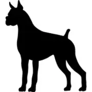 Boxer - High Quality Stencil 10 mil - Reusable Patterns