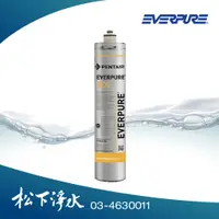 在飛比找蝦皮商城優惠-Everpure 4DC 生飲濾心(含銀離子抑菌配方) 【愛